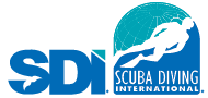SDI